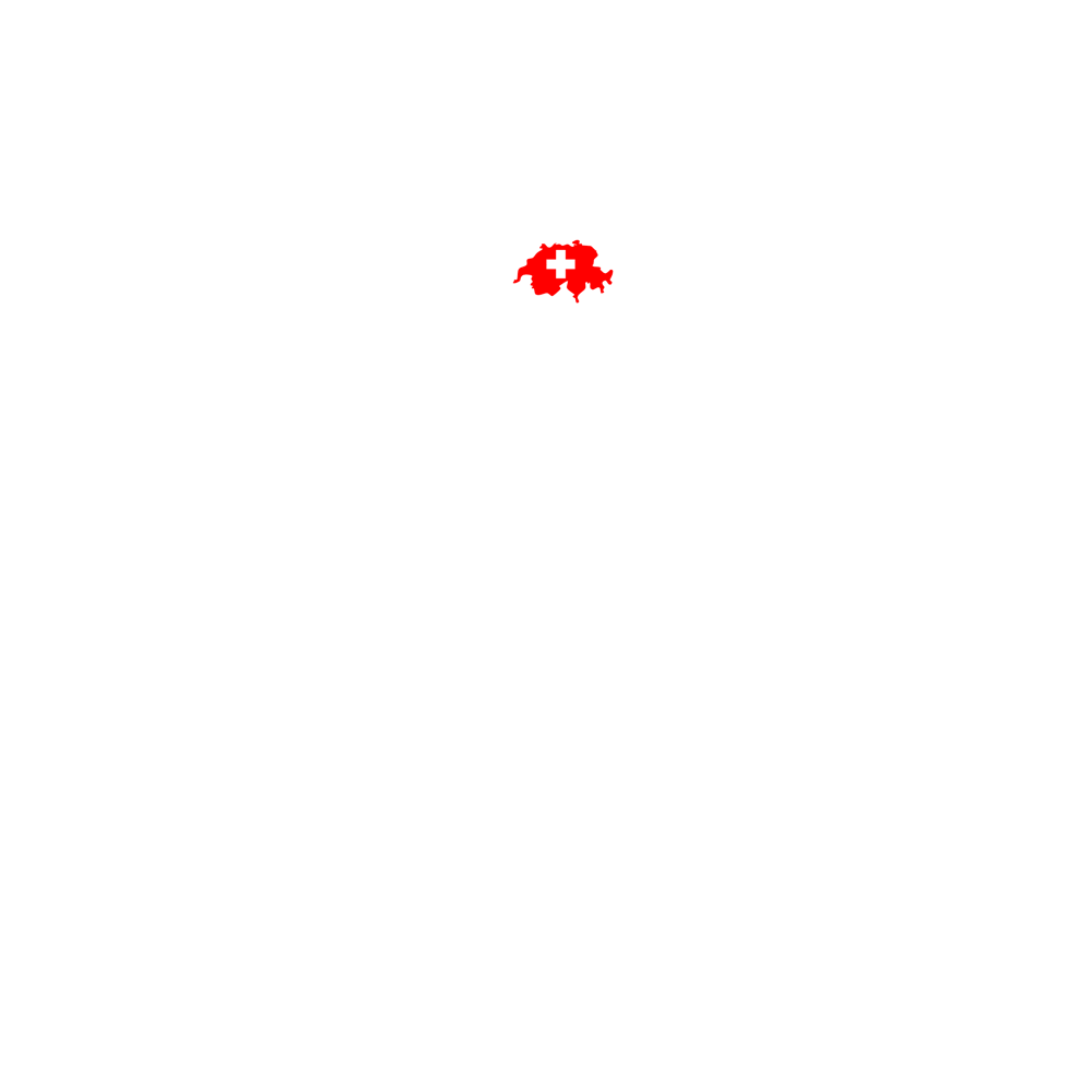 MSA GmbH Logo: Weißer Globus, rote Schweiz, schwarzer Text "CORPORATION MSA GMBH" auf grünem Hintergrund.