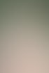 webdesign saarland
