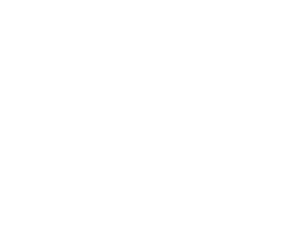 Peakin Logo