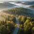 Waldlandschaft