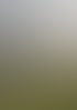 Familie mit Hund spielt im Garten vor einem modernen Sichtschutzzaun mit integrierten Photovoltaik-Modulen.