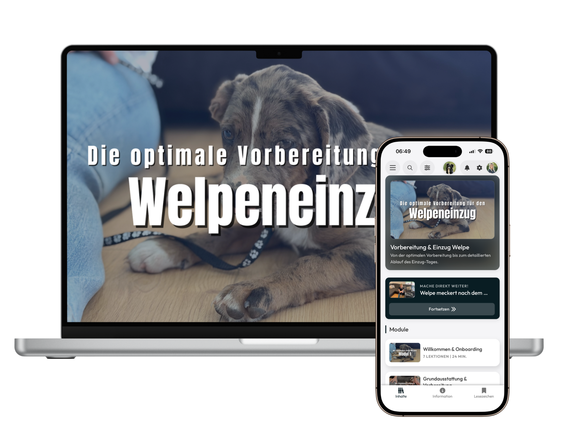 Vorbereitung & Einzug Welpe
