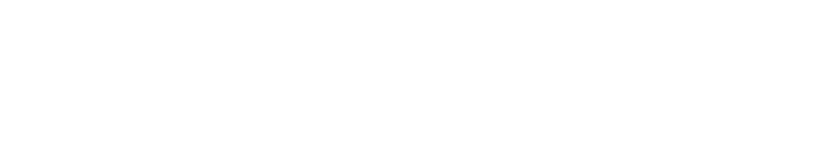Sattler Logistic Solutions