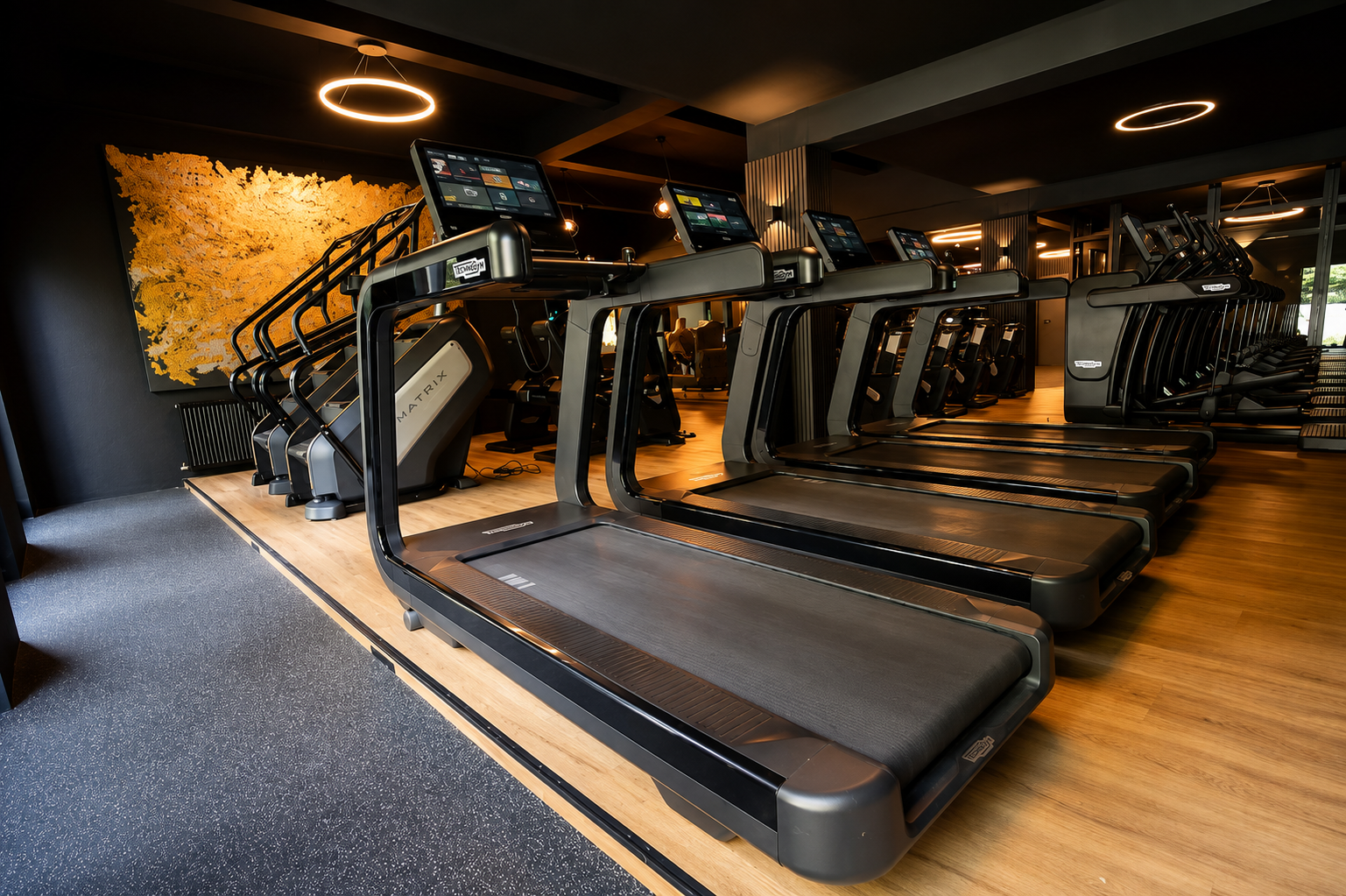 Cardiobereich mit moderner Ausstattung bei SPORTS AND MOTION Erftstadt