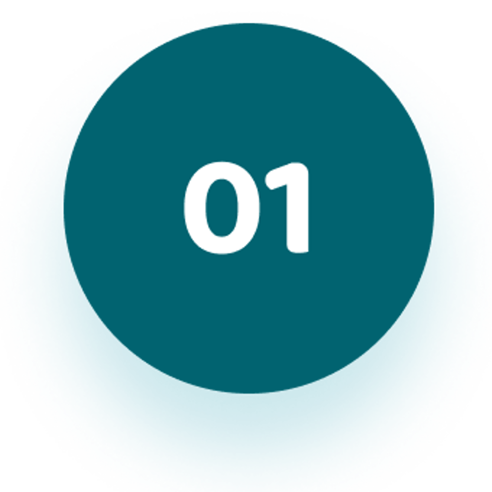 01 Icon