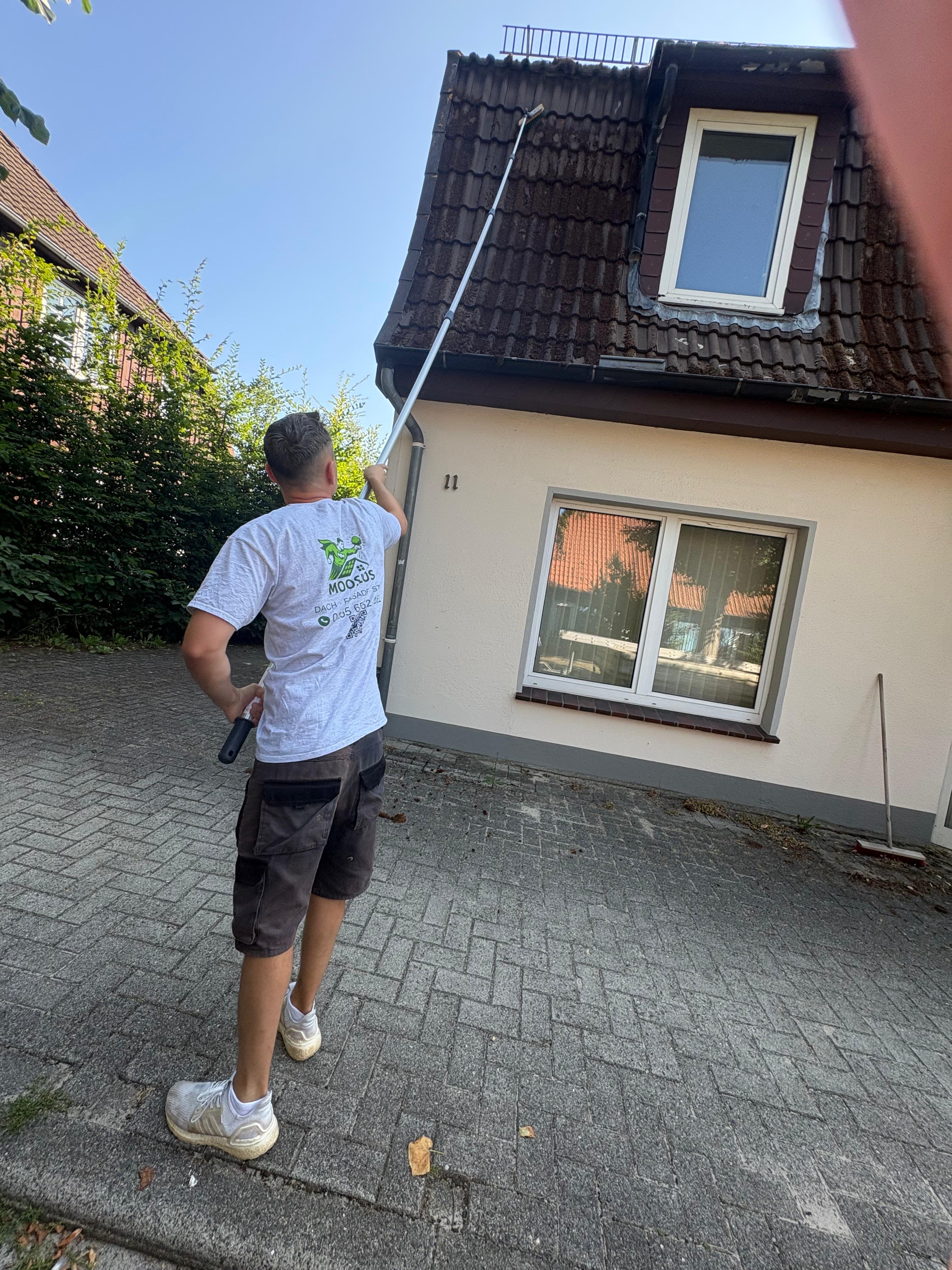 Ihr Dach — frei von Moos, Algen & Flechten