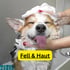 Ein lächelnder Corgi mit geschlossenen Augen wird mit Shampoo gewaschen. Text: Fell & Haut.