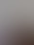 Offener Wohn- Essbereich