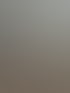 Moderner Wohnbereich mit grauer Küchenzeile, Holztisch, Weinfass-Deko und Blick durch eine Glastür ins Schlafzimmer.