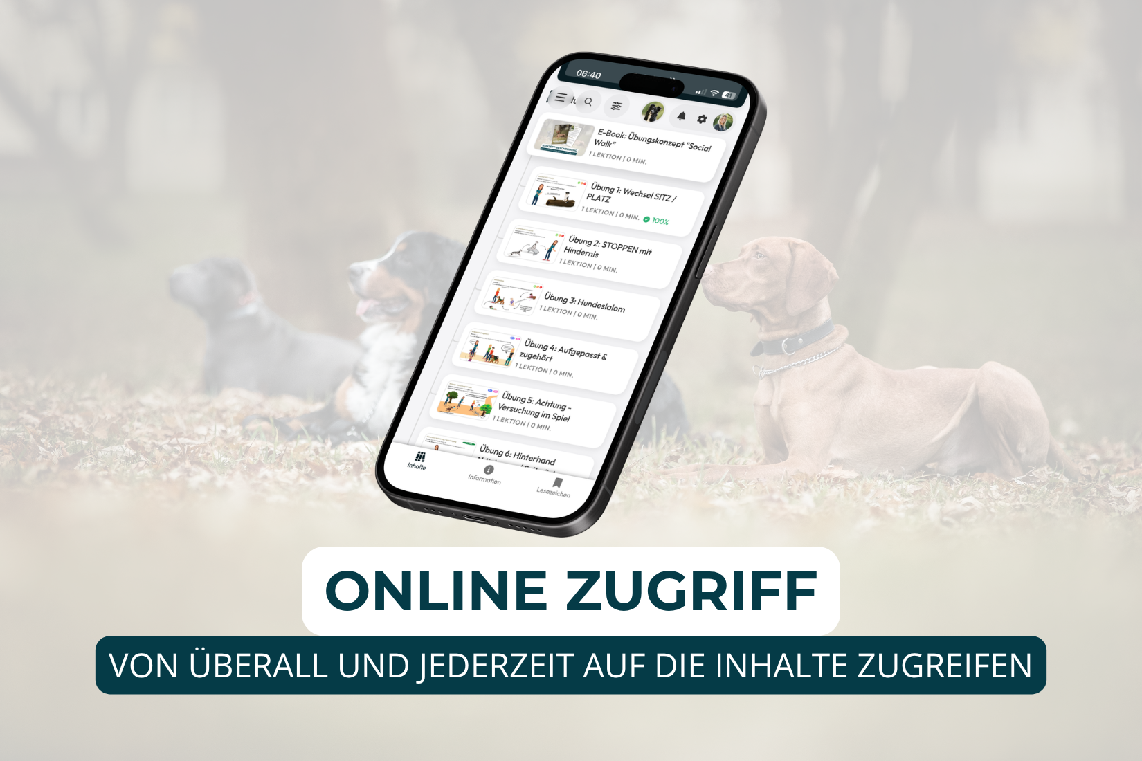 Übungskarten Set Social Walk – Bild 5