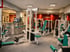 Moderner Fitnessraum mit Kraftgeräten, türkisfarbenen Polstern und einer Bar im Hintergrund.
