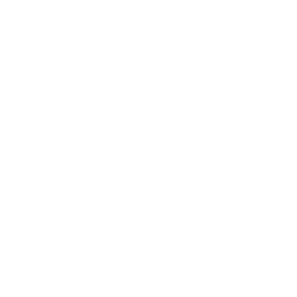Zoepp Media Logo