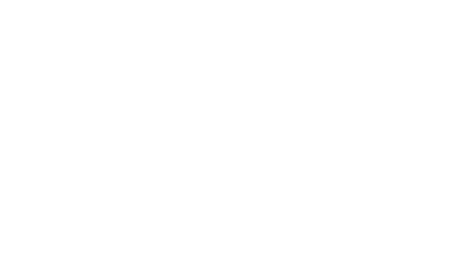 Logo 21