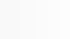 Kundenstimme über SPEEDSCALING