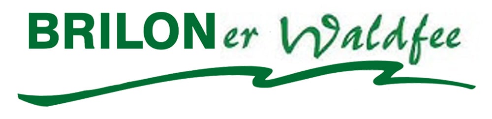 Schriftzug "BRILONer Waldfee" in Grün, mit einer geschwungenen Linie darunter.