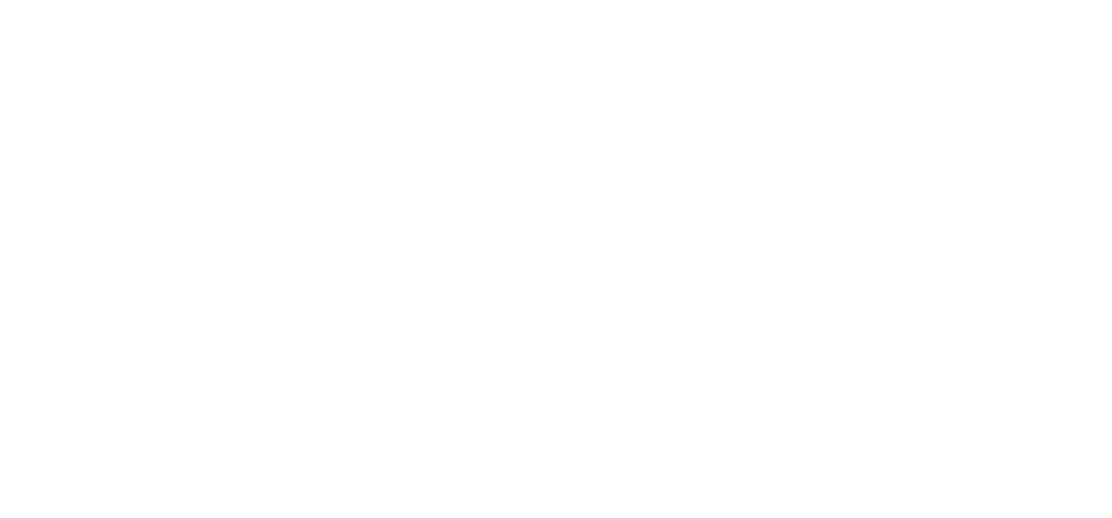 Weißer Text auf grünem Hintergrund: "Die Praxis" über einer Linie, darunter "PHYSIO FÜR DICH".
