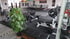 Ein Fitnessstudio mit Boxring, Hantelbänken, Rudergeräten und einer großen grünen Pflanze.