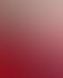 Mitarbeiter 2