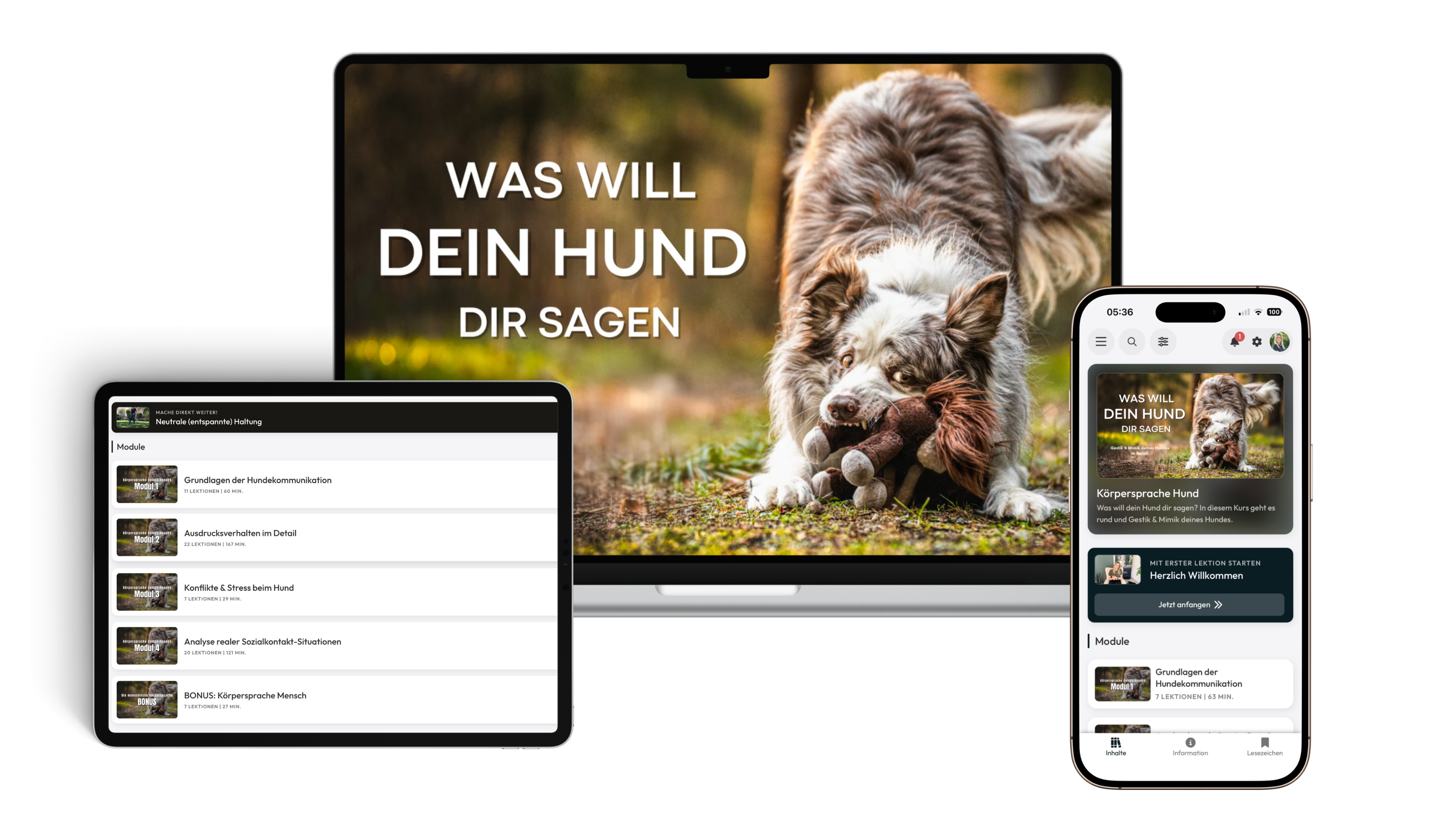 Onlinekurs Was will dein Hund dir sagen? auf Laptop, Tablet und Smartphone