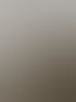 Frisch gegossene, glatte und glänzende Ausgleichsmasse auf einem Zimmerboden vor weißen Wänden.