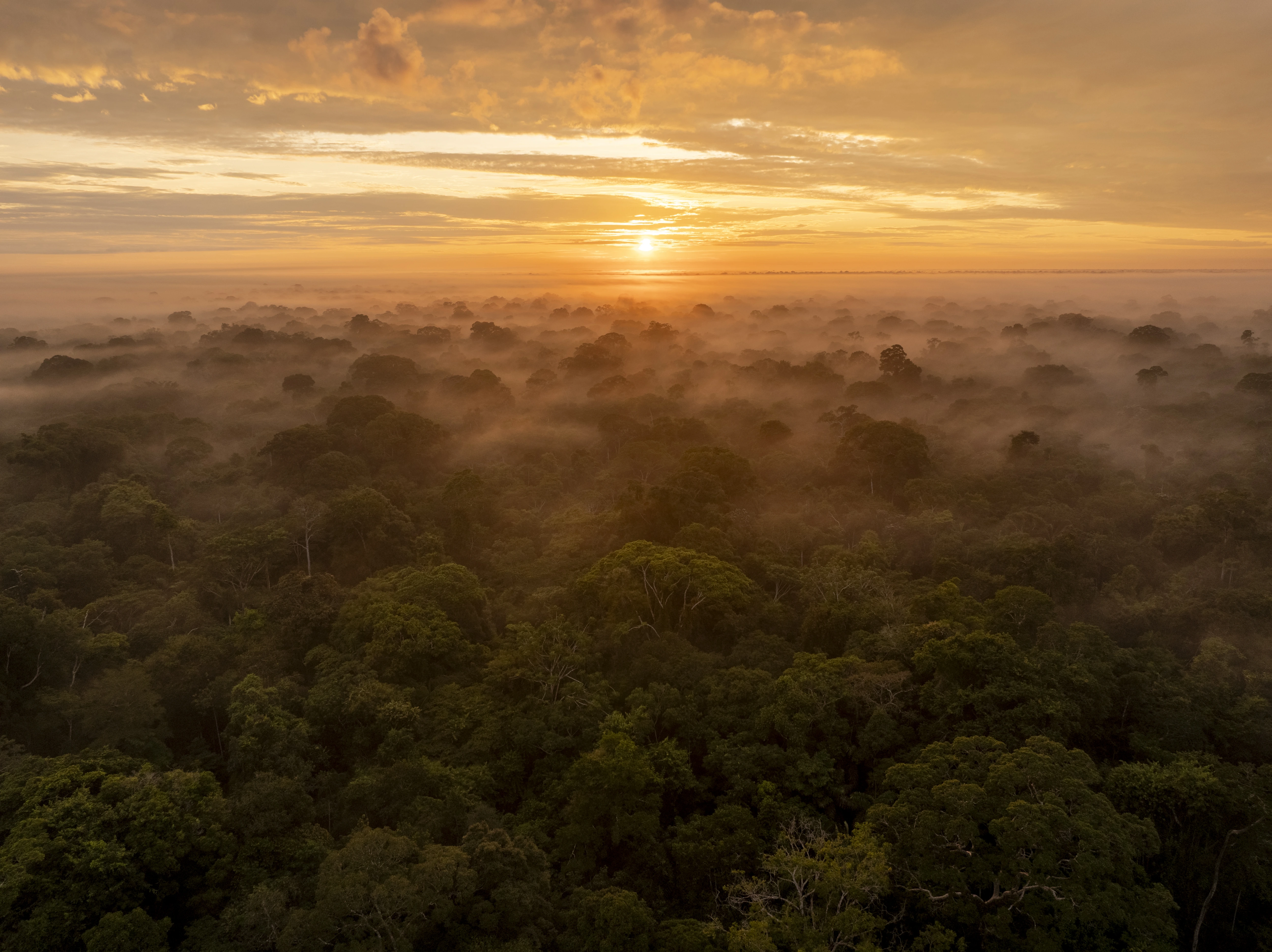 © Wilderness International - Dennis Schmelz