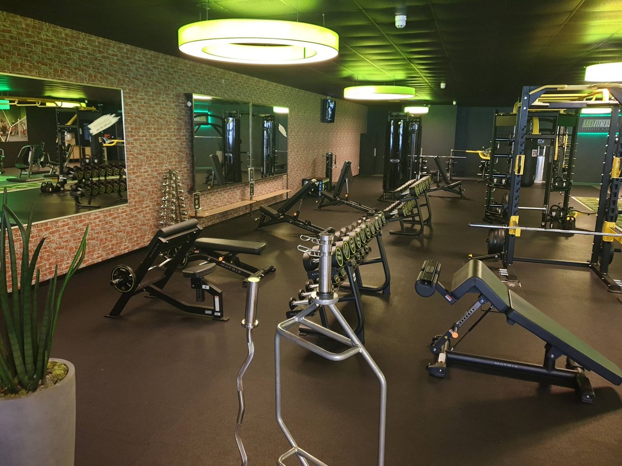 Freihantelbereich im EASYFITNESS Brake