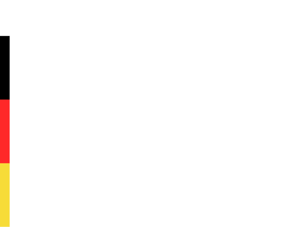 PKV FÜR DEUTSCHLAND Logo mit deutscher Flagge links und grünem Hintergrund.