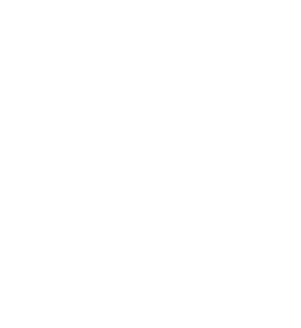 NIRO und KÖGL Logos mit Schriftzug "OFFIZIELLER VIP-PARTNER" und 4 Sternen in Rot auf Grün.