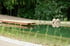 Ein Schwimmteich mit Holzsteg, Wasserpflanzen und Steinufer vor einer grünen Waldkulisse.