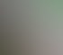 Videocall mit Stegemann Media