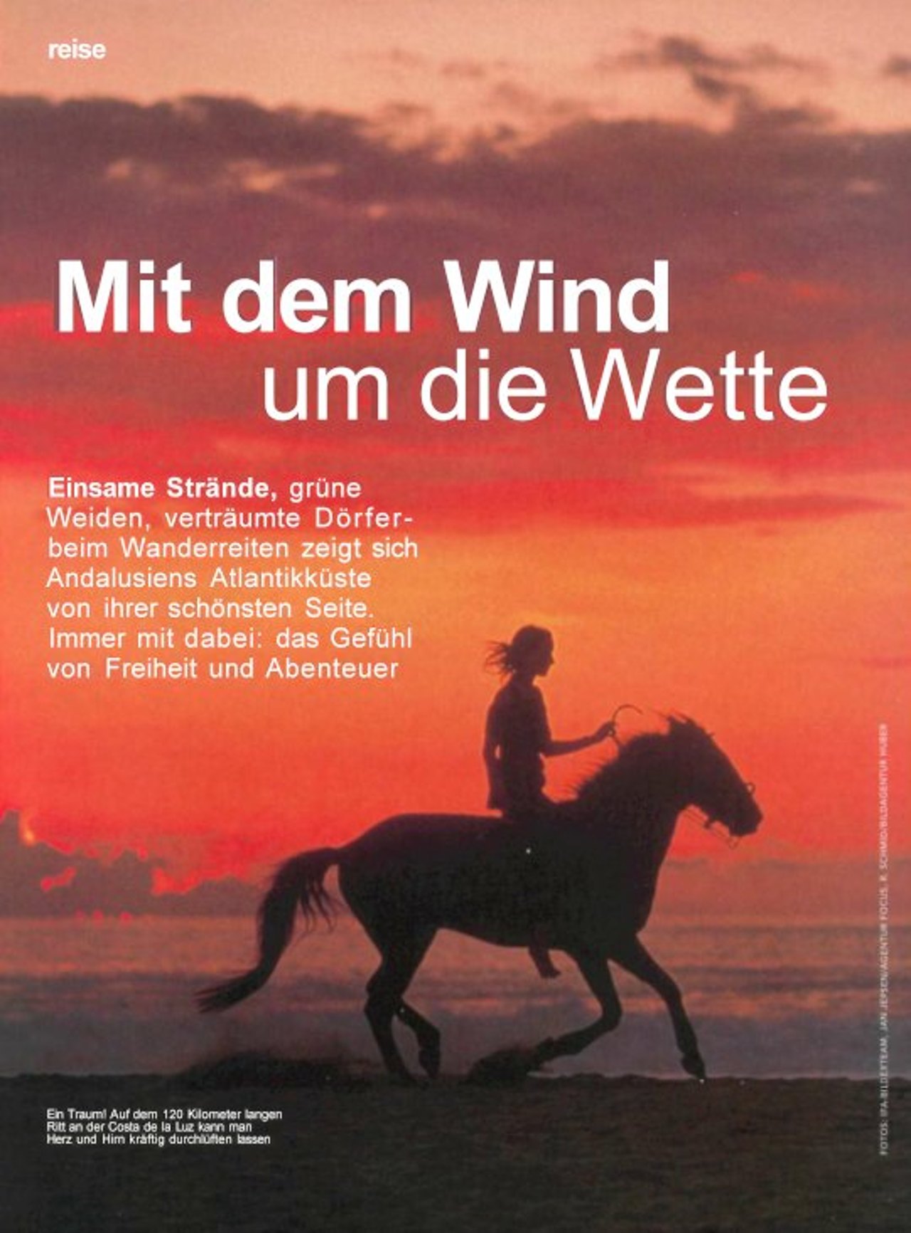 Mit dem Wind um die Wette.