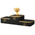 Schwarzes Siegerpodest mit goldenen 1st-, 2nd- und 3rd-Plaketten, darauf ein goldener Pokal mit Stern.