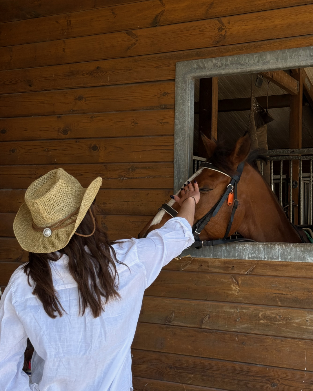 Woman in a straw hat petting a horse