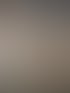 Assistenzhund oder eigener Hund beginnt die individuelle Ausbildungsbegleitung.