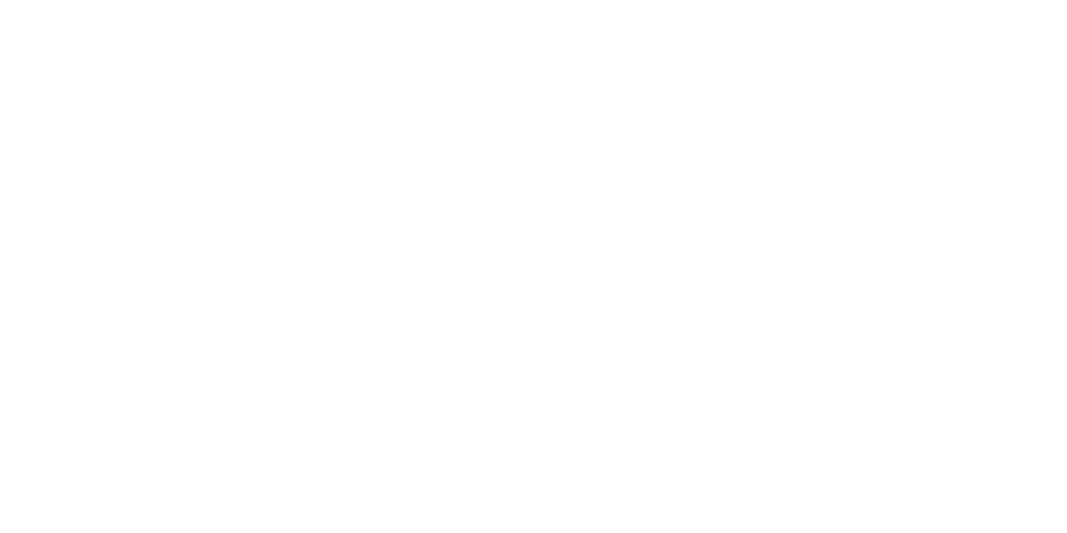 Logo NF Mentoring