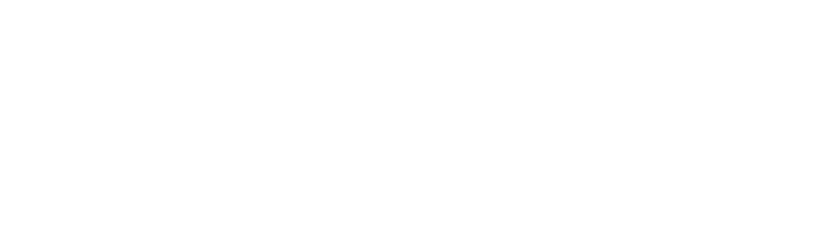 Repanet