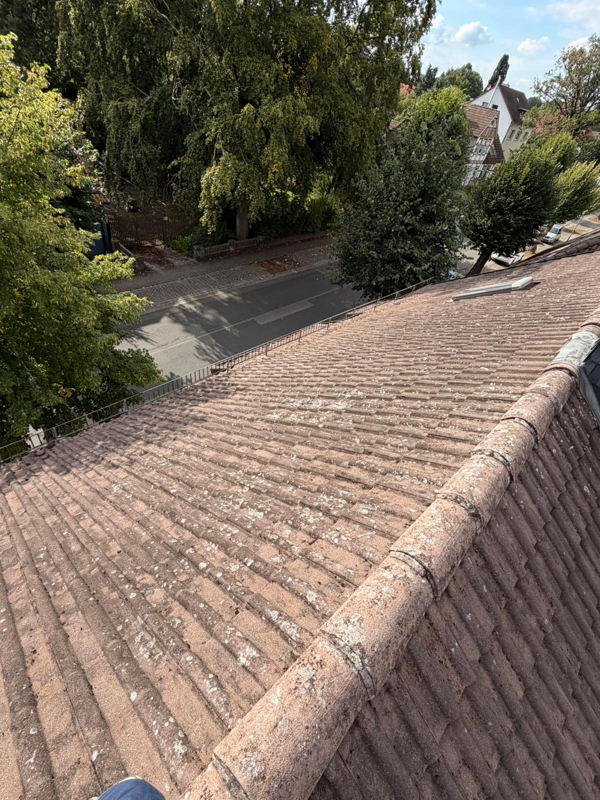 Schonende Dachreinigung (Langzeitwirkung) ohne Hochdruck