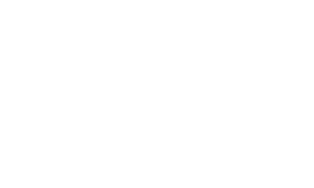 „Sejmir Suljkanovic“ in weißer Schreibschrift auf dunkelgrünem Hintergrund.