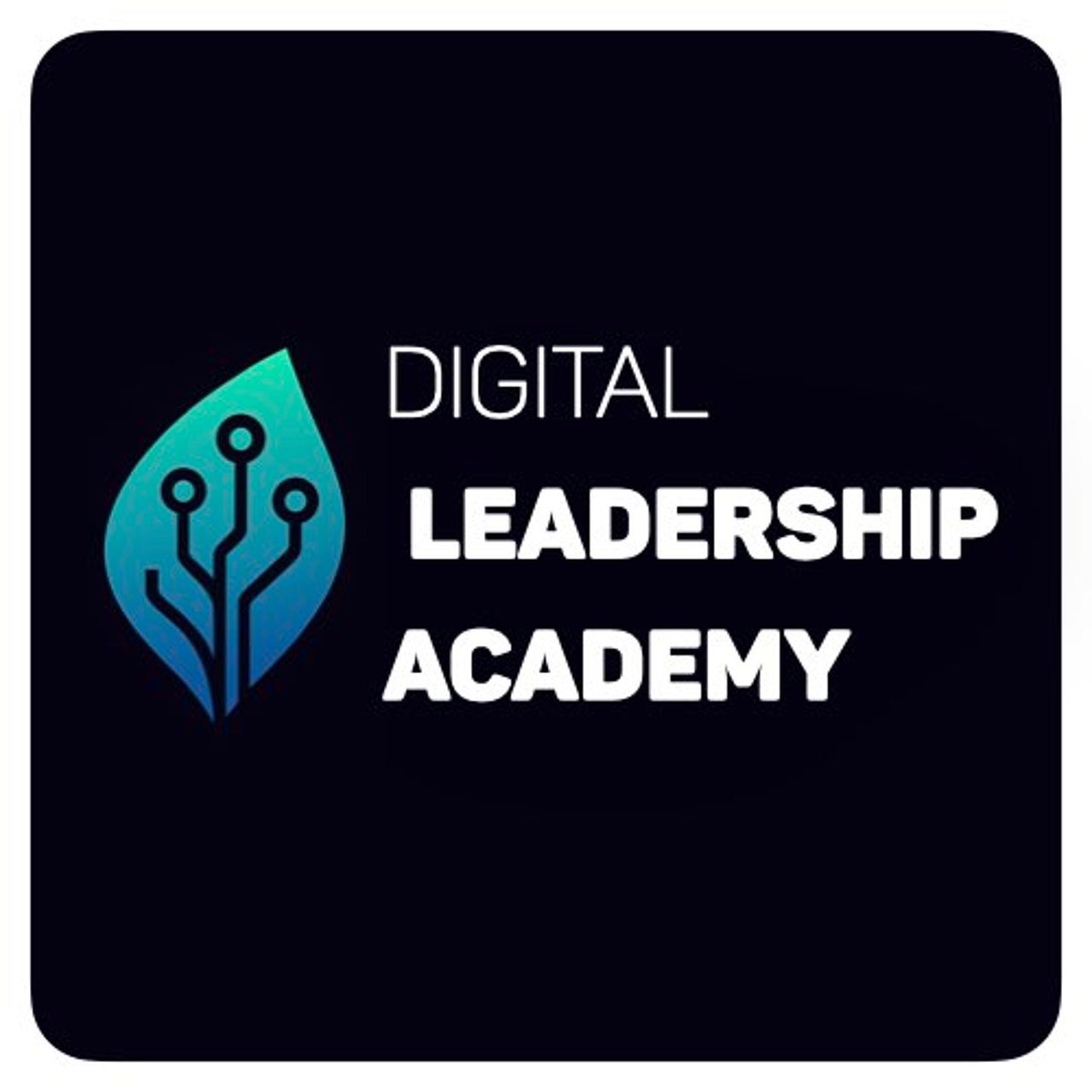 Digital Leadership Academy