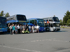 Eine Gruppe von Menschen posiert vor vier Bussen auf einem Parkplatz unter blauem Himmel.