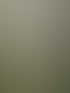 Jeder Weg beginnt im Nebel — und führt doch ans Licht.