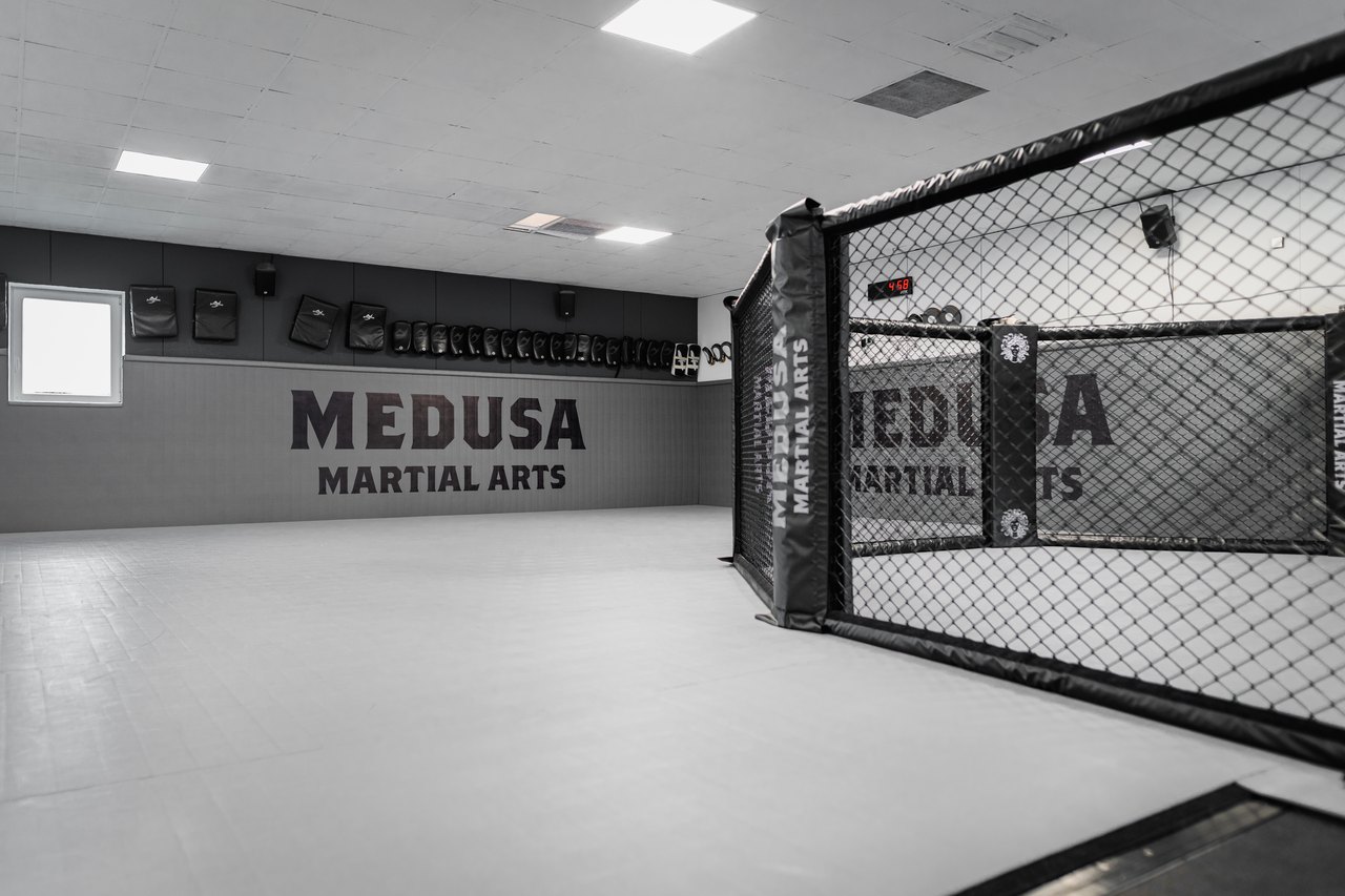 MMA-Hexagon