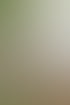 Eine Masseurin führt eine Rückenmassage bei einem Mann auf einer Therapieliege unter einer Rotlichtlampe durch.