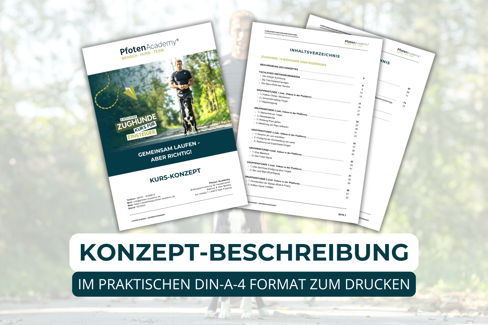 8-wöchiger Zughunde Einsteiger Kurs – Bild 4