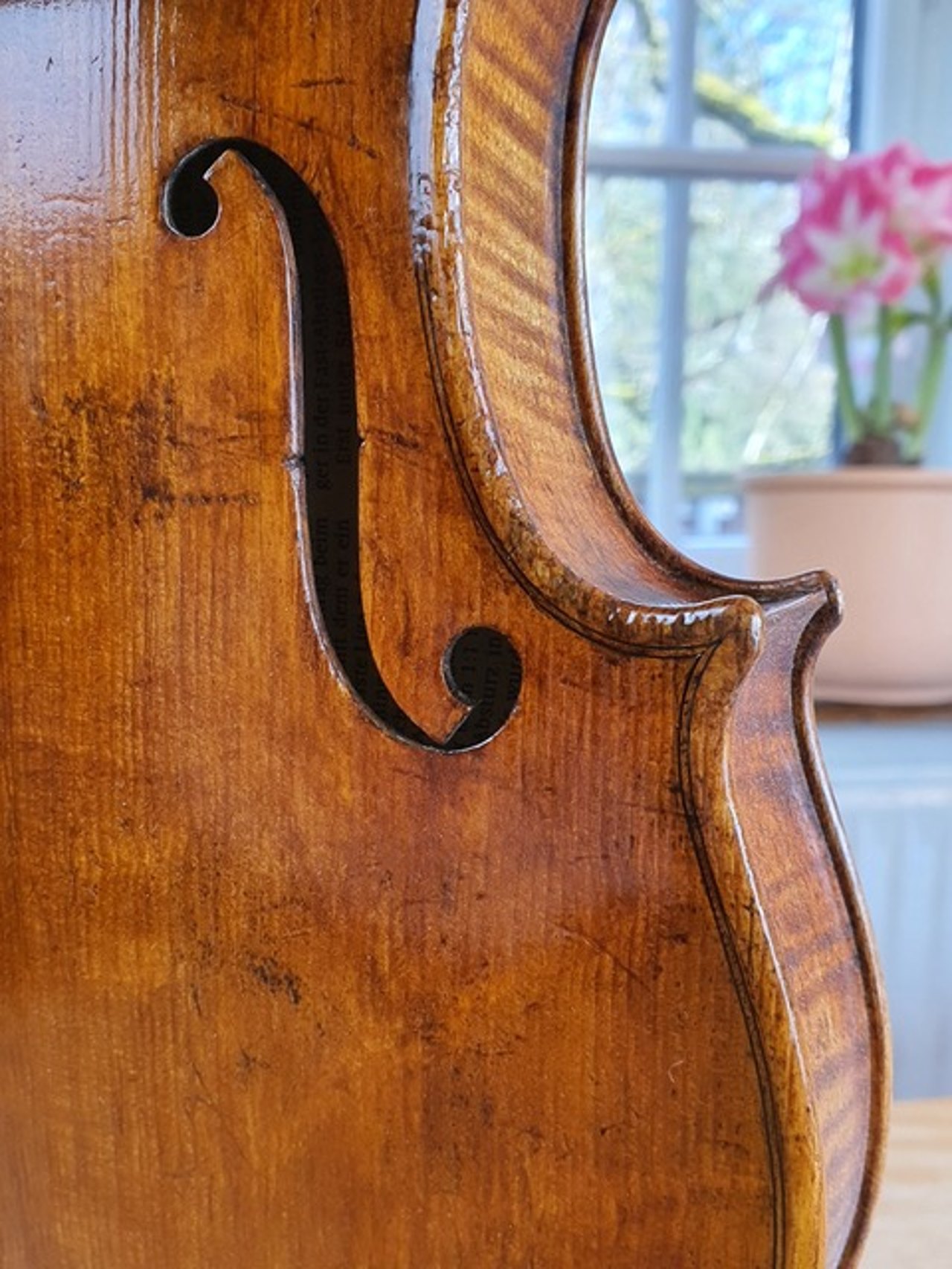 F-Loch, Detail