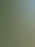 Forstservice Frankfurt (Oder) | Forstservice Winnige
