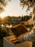 Hotelgarten mit Biodiversitätskonzept und exklusiver Honigedition