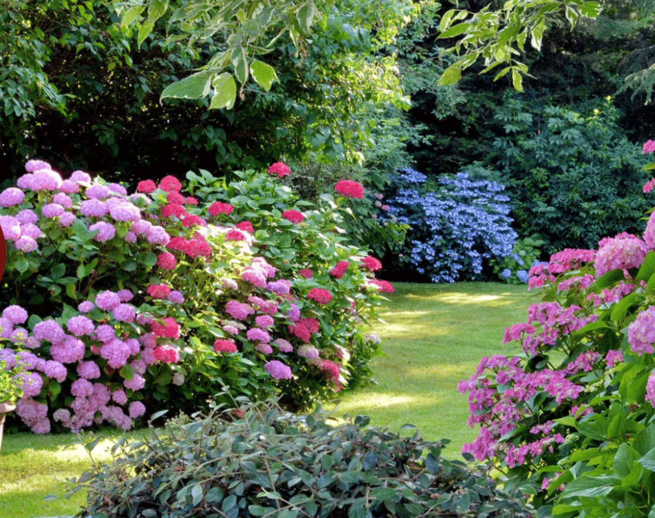 Gartenanlage nach dem Vorbild der Werke Claude Monets
