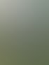 IMG_5350.jpeg