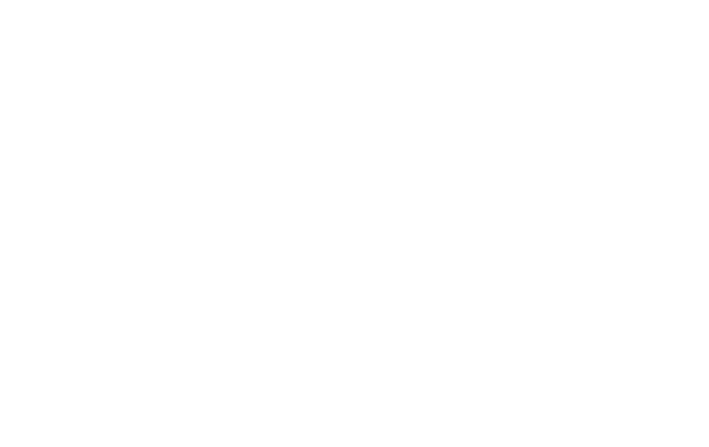 Logo mit gekreuzten Messern und dem Schriftzug "SCHMID METZGEREI" auf grünem Hintergrund.